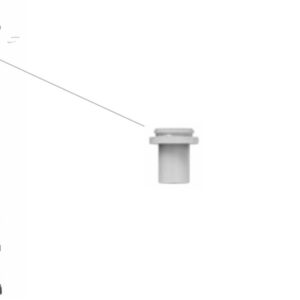 Check Valve